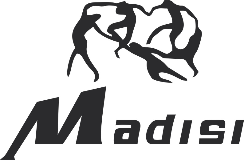 Madisi logo